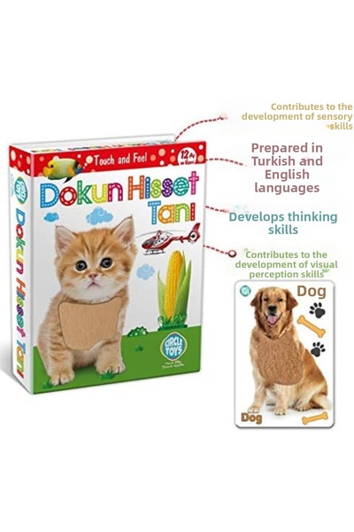 Yıldızan Msa Shop Touch and Feel Diagnosis Training Cards, Intelligence Cards...