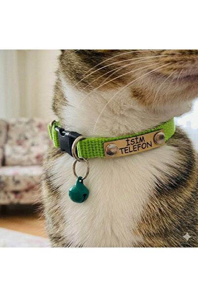 hebmeyy Kedi Tasması, Isimlikli Kedi Tasması, Kedi Künye Tasma, Kaybolursam A...