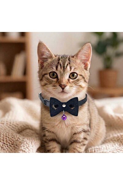 hebmeyy Kedi tasması, papyonlu kedi tasması, fiyonklu kedi tasması, kalpli ke...