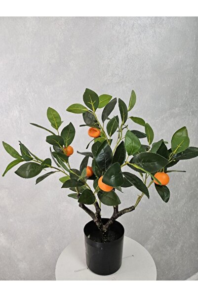 OEM Portocal 55cm