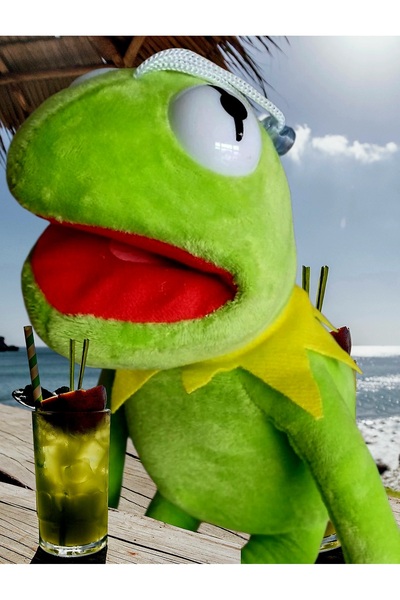 Genel Markalar Susam Sokağı Kurbağa Kermit 41cm Peluş Oyuncak Yurtdışı Özel
