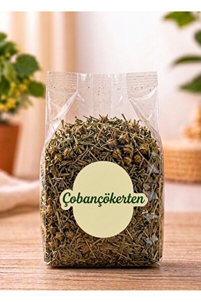 Ardıç Şifa Evi Çobançökerten Otu