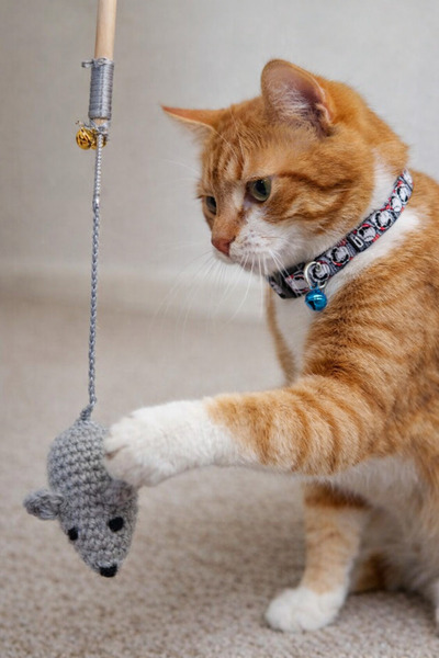 Be Cat Fare Örgü, Amigurumi Catnipli Oyuncaklı Çanlı Kedi Oltası Oyuncağı - G...