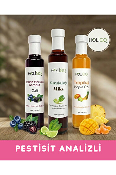 HOLİGO 3'lü Meyve Özü Seti - Kuzukulağı Miks, Tropikal Öz, Yaban Mersini Kara...