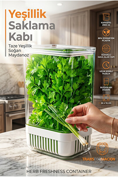 Transformacion Greenery Storage Container - for Fresh Greens - Onion Parsley ...