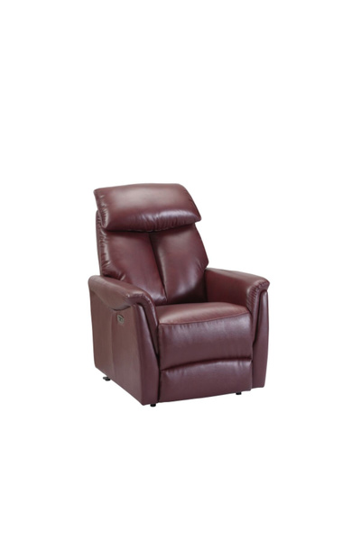 micasa Electric Lift Top Grain Leather High-Quality Recliner Chair