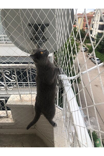 KONAK FİLE Kuş Koruma Filesi, Balkon Filesi 2metrex4metre