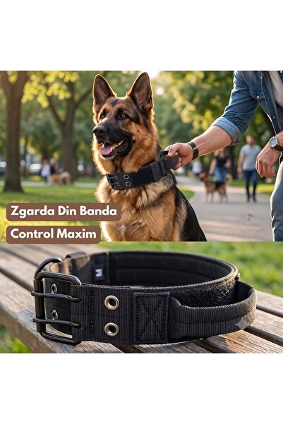 Mardil Zgarda Din Banda Pentru Caini Cu Maner, Robusta Si Rezistenta, Latime ...