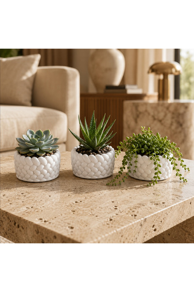 MİREVA 3'lü Örgü Desenli Mini Saksı Seti – Modern Dekoratif Minimalist Skulen...