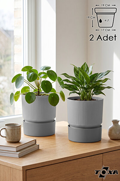 ToXA 2 Adet 4 Litre Gri Iksora Saksı Dekoratif Tabaklı Çiçek Kaktüs Saksısı M...