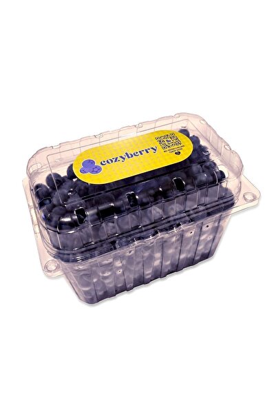 Cozyberry Taze Yaban Mersini 1000 Gr