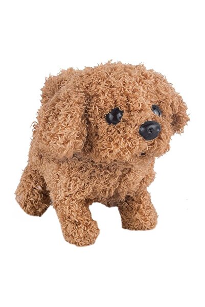 BAMI NETWORK Caine Interactiv Poodle Maro cu Miscare si Sunet 3+ Ani