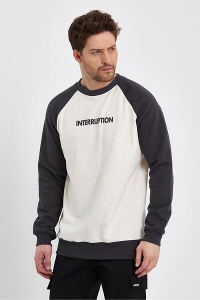 ALEXANDERGARDI Printed Regular Fit Sweatshirt (E23-73103)