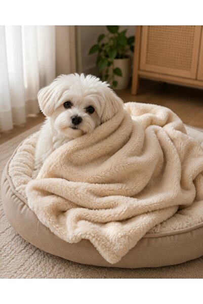 atelyu kedi köpek welsoft battaniye