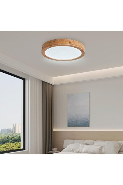 Dotail Baerolc Φωτιστικό Οροφής LED, 20W, 6000K ψυχρό λευκό, διάμετρος 30 εκ....