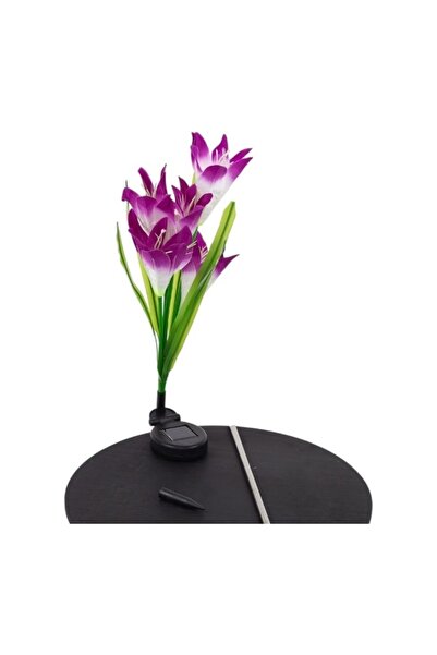 E-ANAMAG Σετ 2 Ηλιακών Φωτιστικών LED σε σχήμα Λουλουδιού, Μωβ