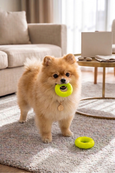 Tasma Market Small Breed and Puppy Dog Bite Ring 7cm - Set of 2 Teethers and ...
