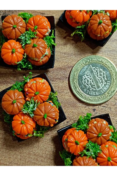 cankids El yapımı minyatür balkabagi dolma tabağı