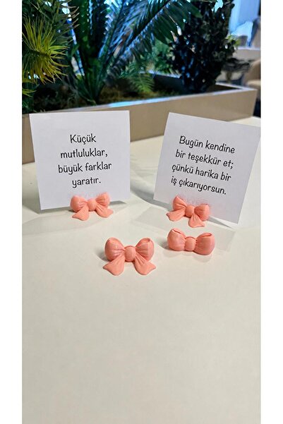 Lucylund Fiyonk Notluk & Fotoğraf Tutucu | Kadınlar İçin Ofis ve Evde Motivas...