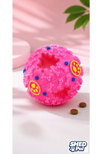 SHEDPAL Shed Pal Sound Food Play Ball Pink