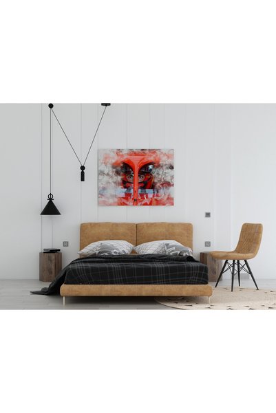 Efect Canvas Tablou Canvas - Carlos Sainz