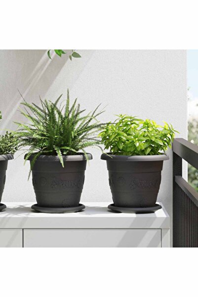 vidaxl Ghivece pentru plante 6 pcs Negru Ã˜ 22 x 18 cm Plastic