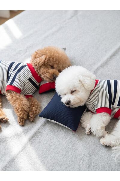 Kemique Yacht Club Marin Çizgili Köpek Uyku Takımı | Lacivert Kırmızı Pamuklu...