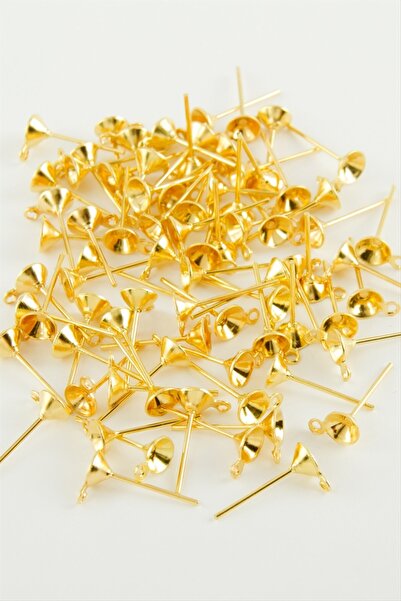 TakÇalıştır 0.5 cm Conical Nails with Ring 250 Grams 2000 Pieces