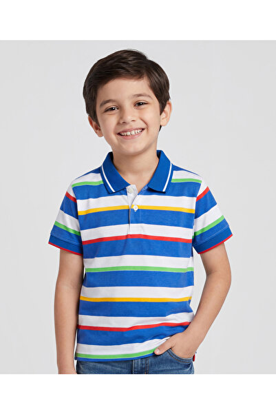Pine kids Cotton Knit Half Sleeves Striped Polo T-Shirt - White/Blue