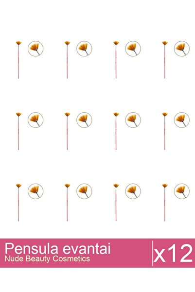 Makeup Set of 12 fan brushes