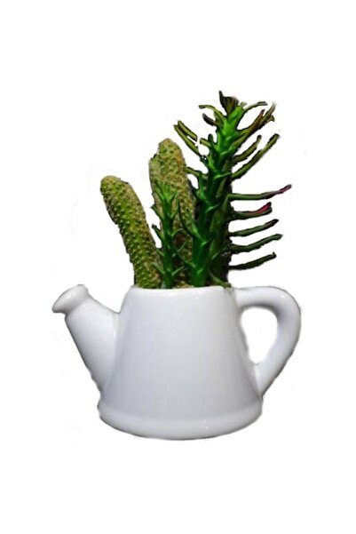 Goliat Set de suculente într-un ghiveci ceramic alb, ușor, de 17x13cm, două m...
