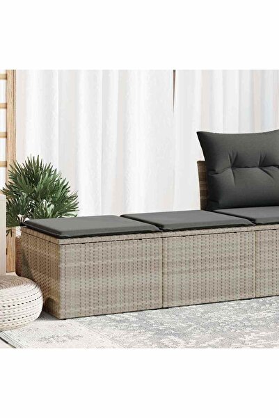 vidaxl Set canapea de gradina cu perne, 2 piese, gri deschis poliratan