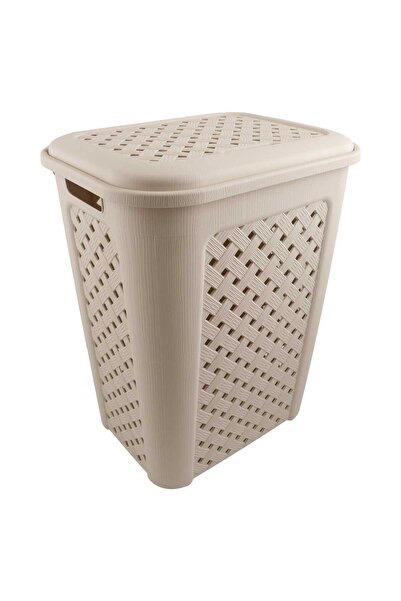 Home Plastic Laundry Basket, 50L, SF250408025