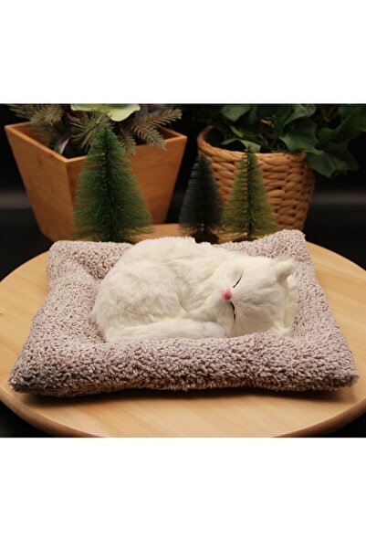 HEDİYEBİZİZ Minderde Uyuyan Sesli Peluş Kedi Cat Büyük Boy 22cmx25cm - Beyaz ...