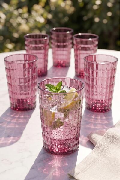 EWs Acrylic Allegra Plum 6-Piece Short Glass & Water Soft Drink Coffee Cup 40...