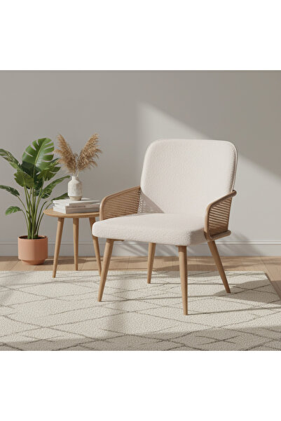 Ebticar Elegant Dining Chair