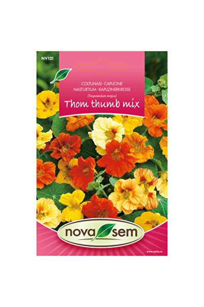 Novasem Seminte de flori coltunasi Tom Thumb amestec Novasem, 2,5 g