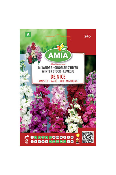 Amia Seminte de flori Mixandre d hiver de Nice amestec culori, 0,5 g
