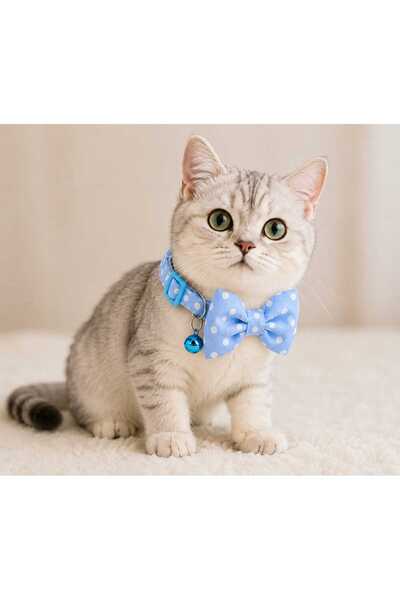 PATİZİSHOP KEDİ PREMIUM TASMA KOLEKSİYONU
