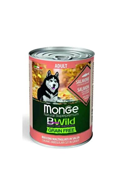 Monge Bwild Grain Free Κονσέρβα Σκύλου με Σολομό, Κολοκύθα και Κολοκυθιά 400gr