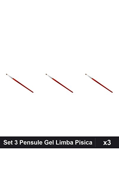 NAİLS Set 3 Pensule Gel Limba de Pisica Nr.6, Manichiură Profesională, Aplica...