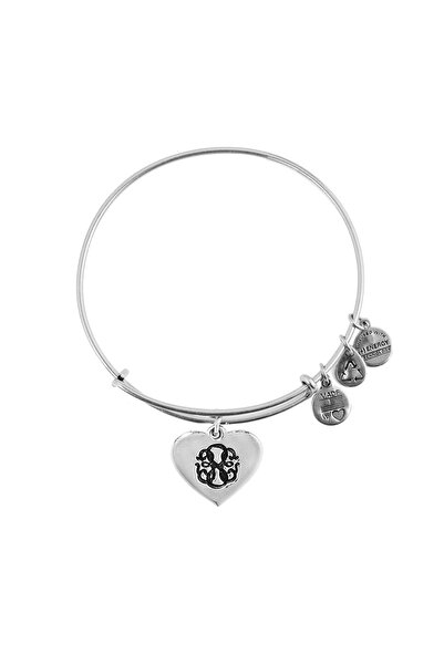 Alex and Ani Bratara Metal A15EB02SS