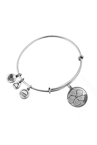 Alex and Ani Bratara Metal A12EB51RS