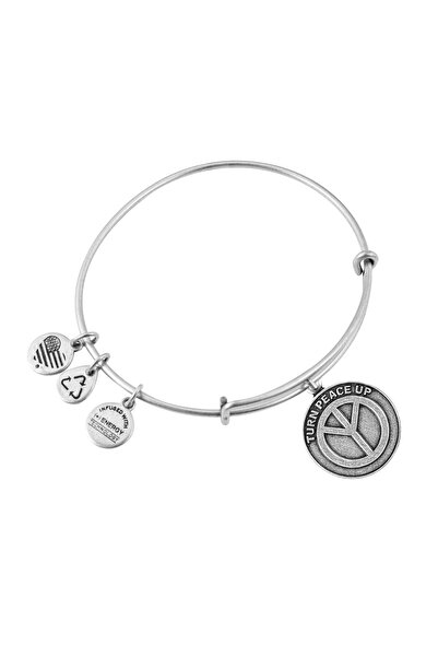 Alex and Ani Bratara Metal A12EB11RS