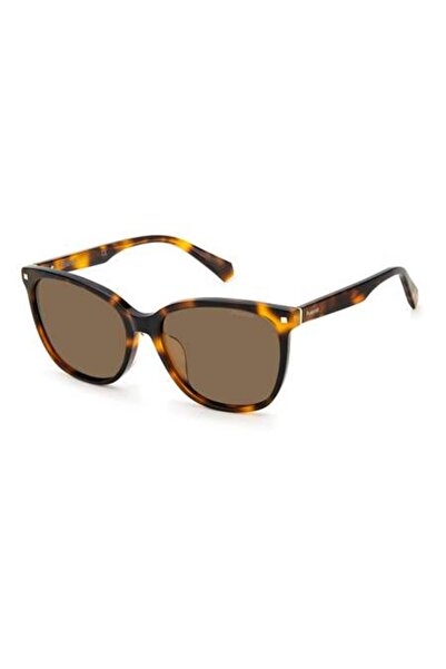 Polaroid PLD 4113/F/S/X HAVANA for WOMAN Sunglasses 59 mm