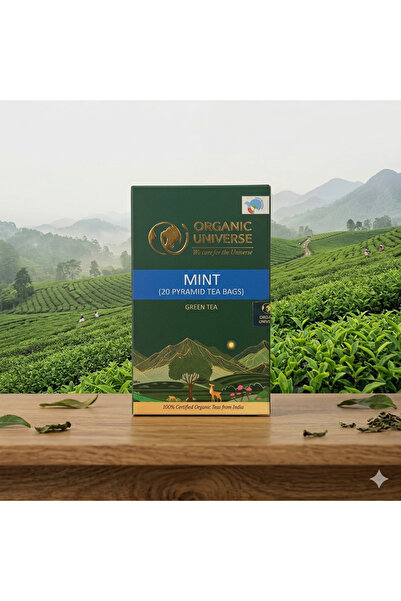 Flavory Organic India Mint Tea Box, Refreshing & Cooling, 100% Natural with D...