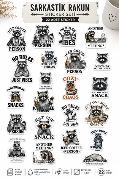 BieneGift Sarkastik Rakun Sticker Set – 22-Piece Large Size Die Cut Full-Cut ...