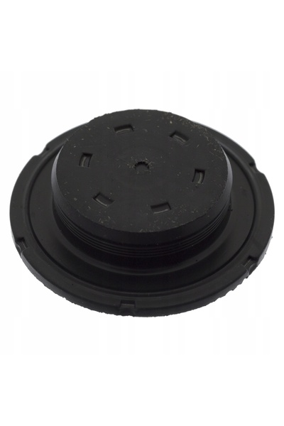 FEBI BILSTEIN Dop anti-inghet 49353, 4027816493532