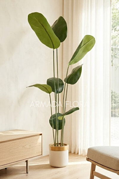 Armada Flora Yapay Starliçe Ağacı - Gold Şerit Detaylı Beyaz Saksılı Salon Bi...