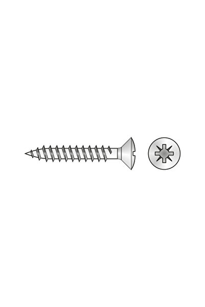 Rocast Set 300 x Surub pal Cap Semibombat Otel Nichelat-3.5 X 17
